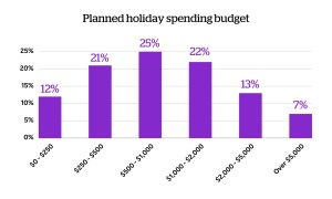 Planned holiday spending budget chart