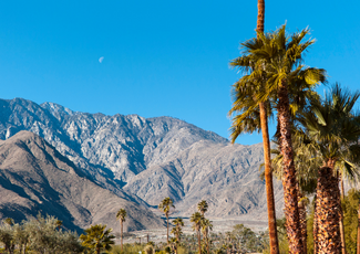 Palm Springs: What to Do, See, and Eat around Palm Springs, CA