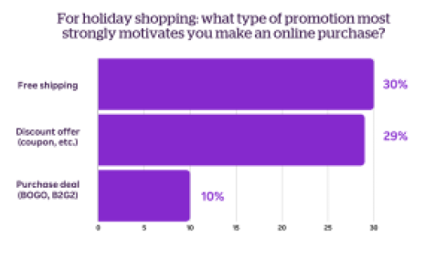 For holiday shopping_ what type of promotion most strongly motivates you make an online purchase