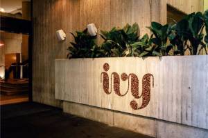 The image depicts an exterior wall of a building with a rectangular concrete planter filled with lush, green leafy plants, adding a natural touch to the industrial setting. The planter features the word "ivy" in a stylized, textured font. The background is a textured concrete wall, illuminated by wall-mounted lights, creating a warm and inviting ambiance. Steps and an entrance to the left suggest this is the entrance to an establishment or building lobby.